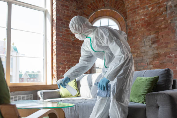 Mold Odor Removal Services in Chester, CA